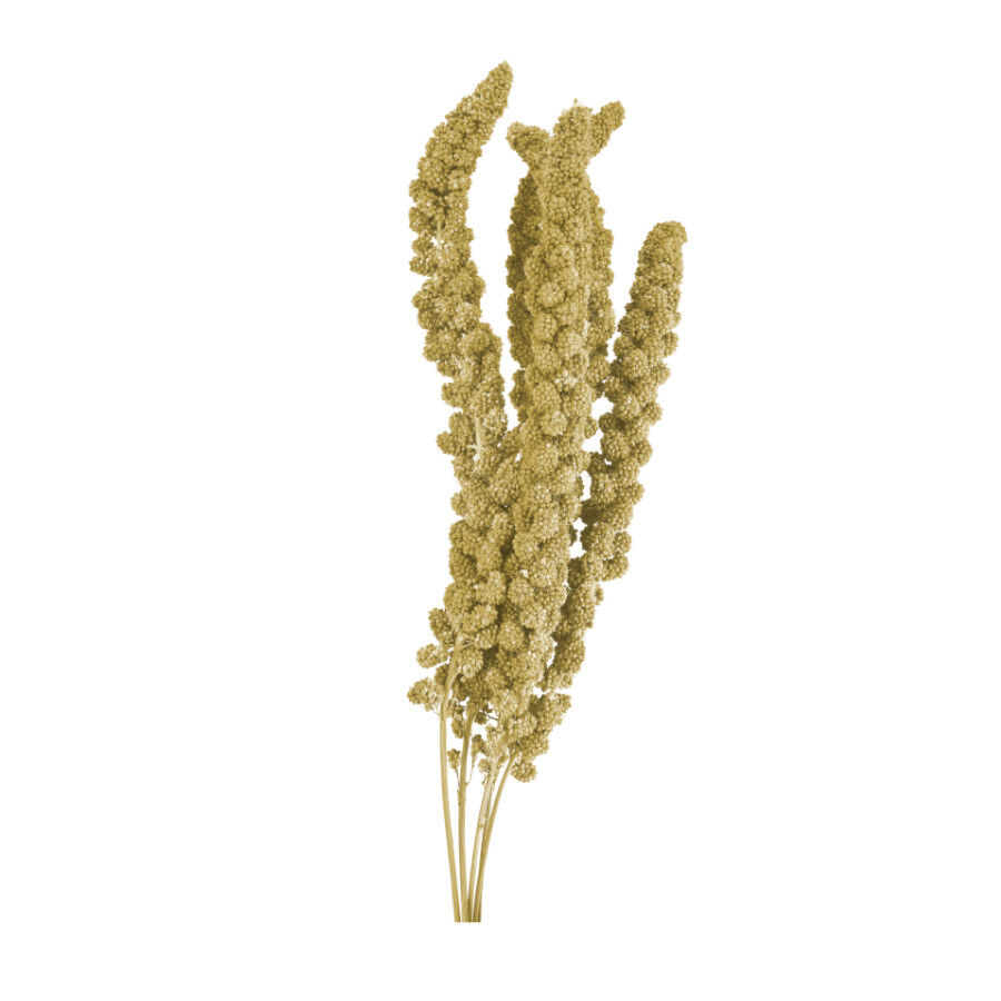 Small life Snack Panizo Amarillo para pájaros thumbnail