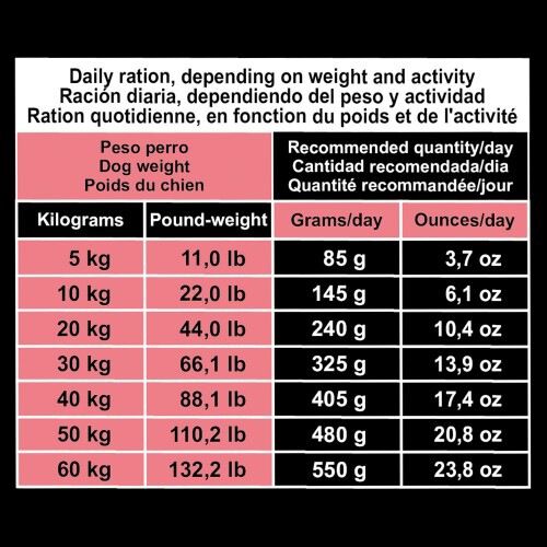 Arquivet original pienso salm&oacute;n y arroz para perros adultos, , large Imagen numero 5