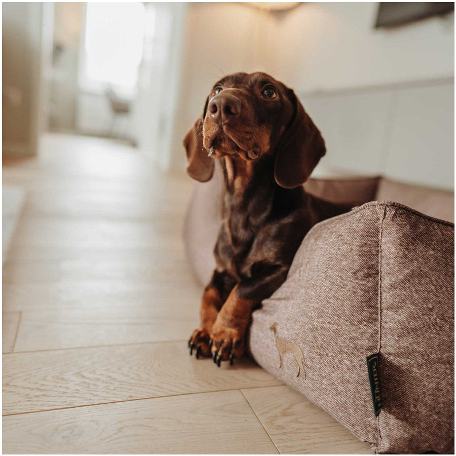 Hunter Boston Cozy Cama Marrón para perros thumbnail