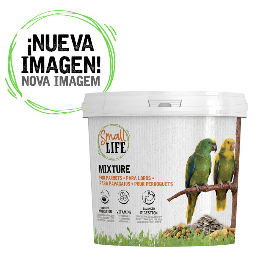 2.8 kg Small Life Mixtura Cubos para loros, , large Imagen numero 1