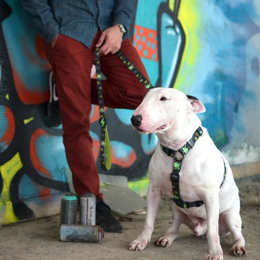 Correa de poli&eacute;ster Flamingo para perros color Varios, , large Imagen numero 4