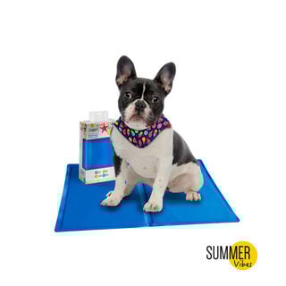 Summer Vibes Cool Manta Refrescante para perros y gatos