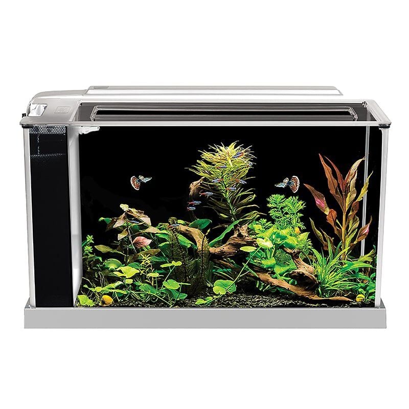 Fluval Spec Nano Acuario Blanco para peces