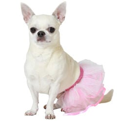 Atosa Disfraz Tutú rosa para perros
