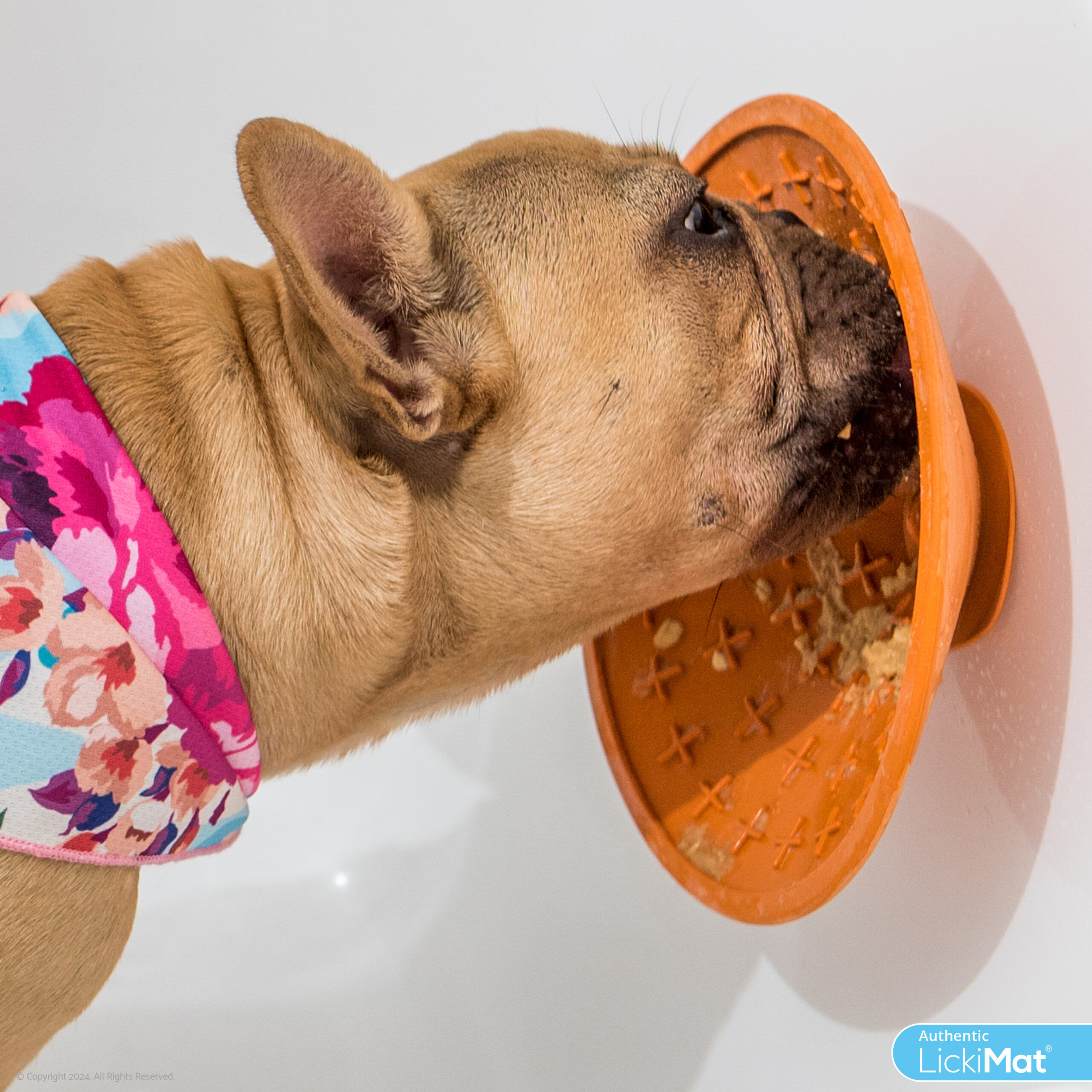 LickiMat Comedero Splash para perros thumbnail