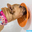 Comedero LickiMat Splash para perros, , large indicador imagen numero 2
