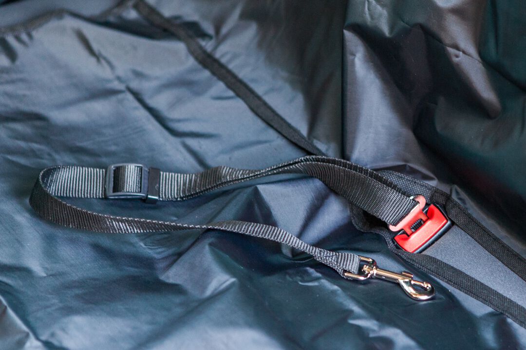 CINTURON DE COCHE PARA SEGURIDAD DE PERRO O GATO, , large Imagen numero 3