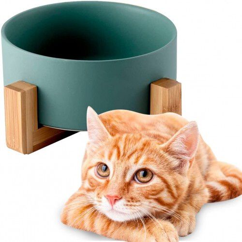 Edipets Comedero y Bebedero de Porcelana Verde para mascotas thumbnail