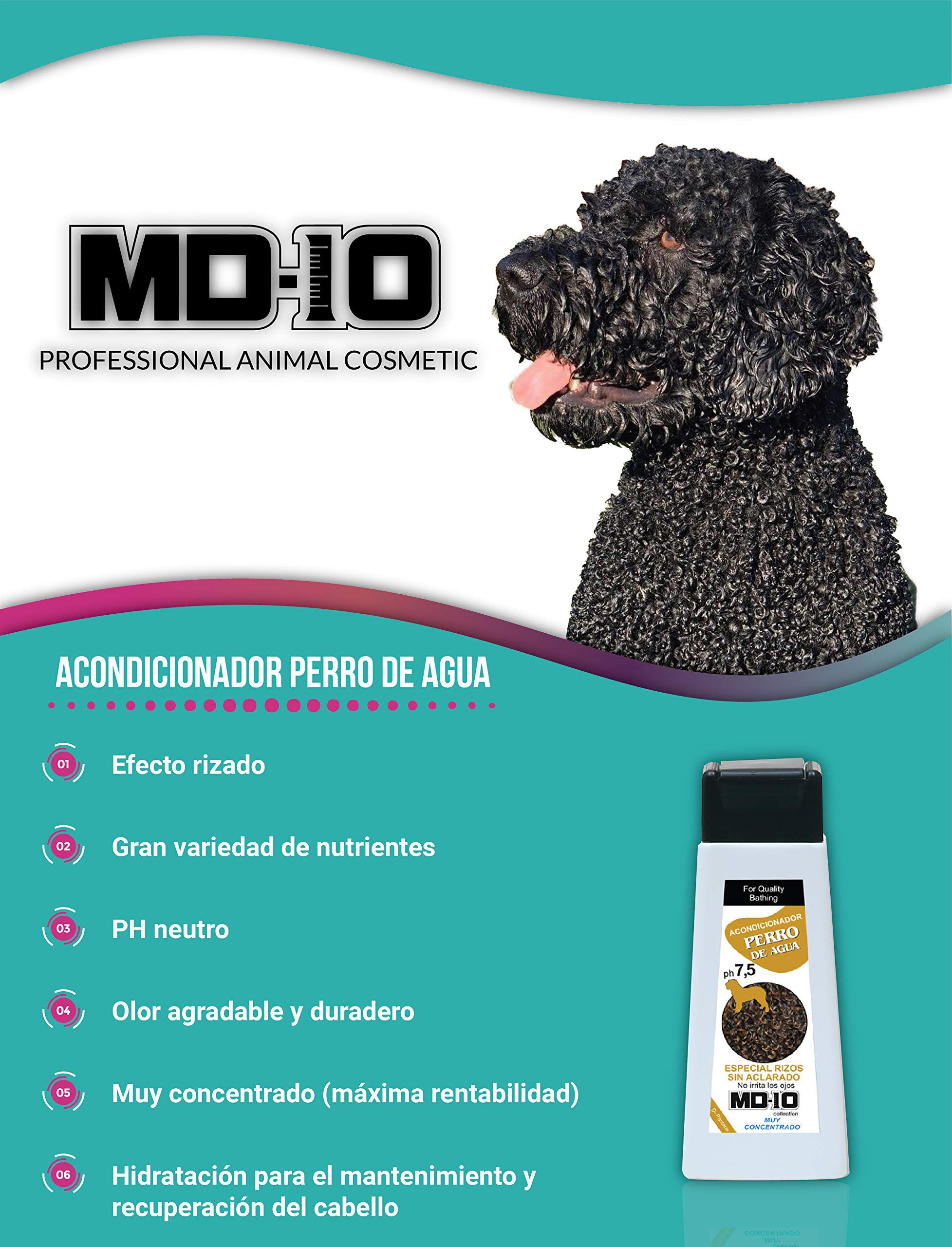 Pack Perros de Agua Pelo Negro - Fabricado Espa&ntilde;a - MD10 COLLECTION, , large Imagen numero 4