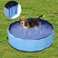 Piscina rígida PawHut para mascotas color Azul, , large indicador imagen numero 2