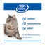 1.5 kg Hill's Prescription Diet i/d Digestive Care Kitten Digestivo Pienso Pollo para gatos, , large indicador imagen numero 3