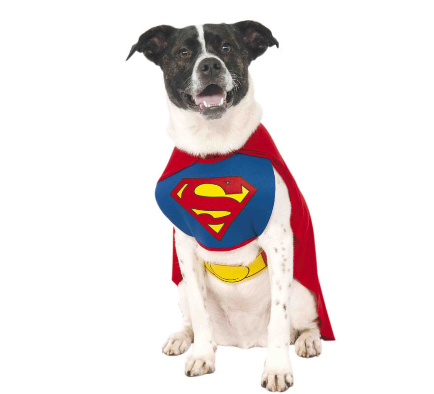 Disfraz Superman para perro, , large Imagen numero 1