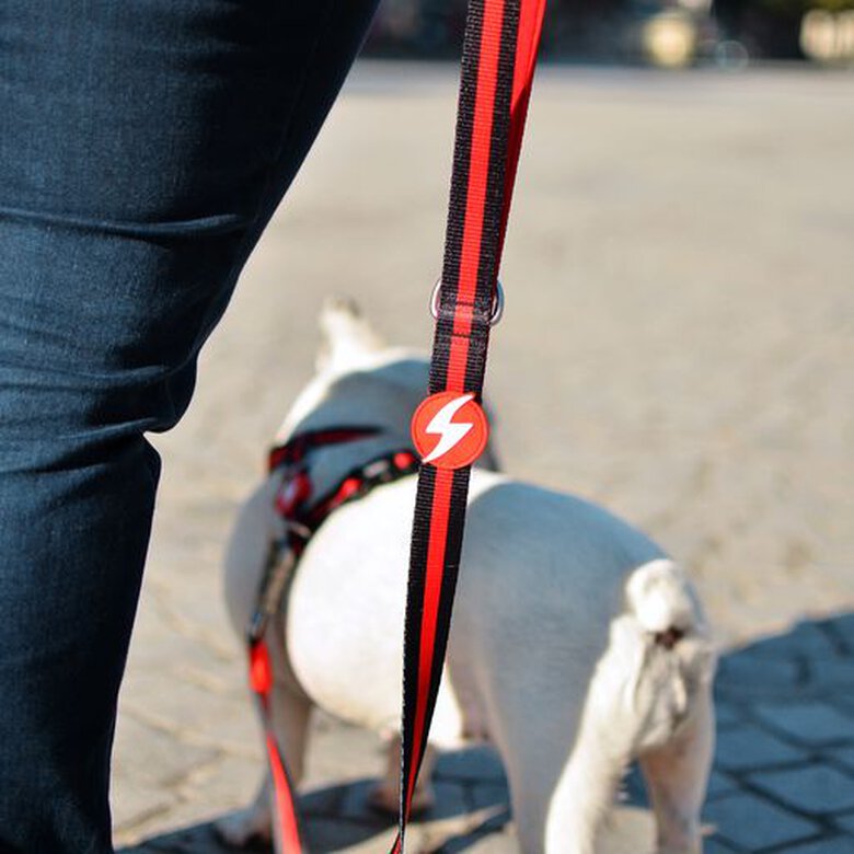 Dashi stripes correa de poliéster rojo y negro para perros, , large image number null
