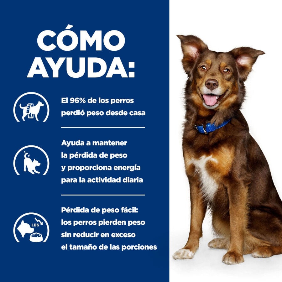 12 kg Hill's Prescription Diet Metabolic cordero y arroz pienso para perros, , large Imagen numero 5