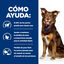12 kg Hill's Prescription Diet Metabolic cordero y arroz pienso para perros, , large indicador imagen numero 5