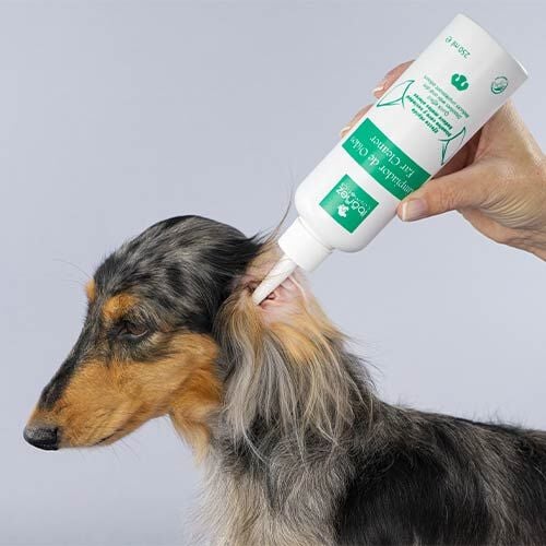 Ibañez Limipador de Oídos para perros thumbnail