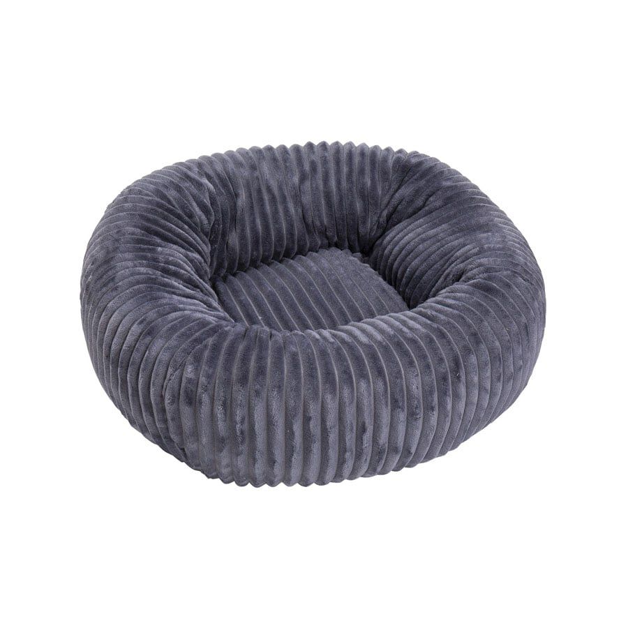 Catshion cama sales