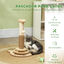 PawHut Rascador para Gatos Roble y Crema, , large indicador imagen numero 5