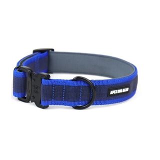 APEX DOG GEAR collar ajustable con cierre metálico azul para perros