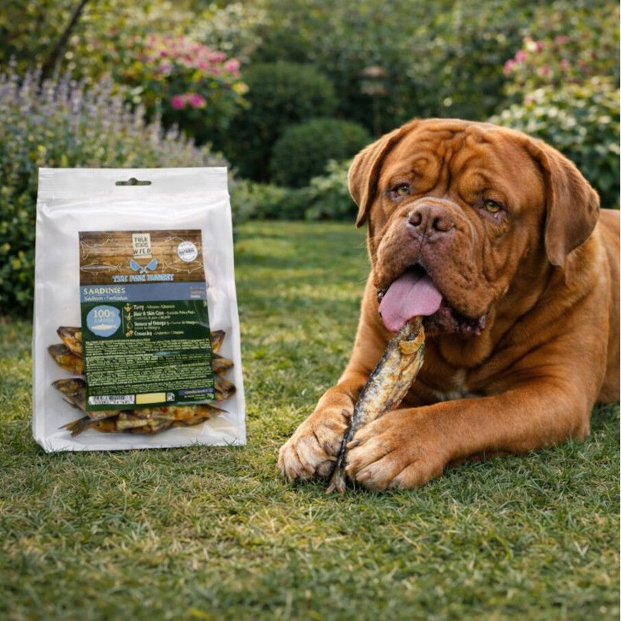 70 g. True Origins Sardinas Snack para perros, , large Imagen numero 1