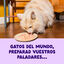 70 g Edgard & Cooper Filetes de Salm&oacute;n y At&uacute;n Lata para gatos, , large indicador imagen numero 2