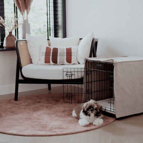 District70 Crate Jaula Plegable para perros, , large Imagen numero 5