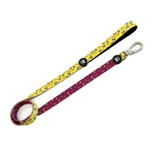 Dukier Skulls correa para perros con calaveras Imagen numero 1