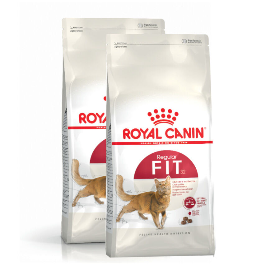 Royal Canin Regular Fit 32 pienso para gatos