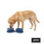 Gotoo Comedero Port&aacute;til Doble de Silicona Azul para perros, , large indicador imagen numero 7
