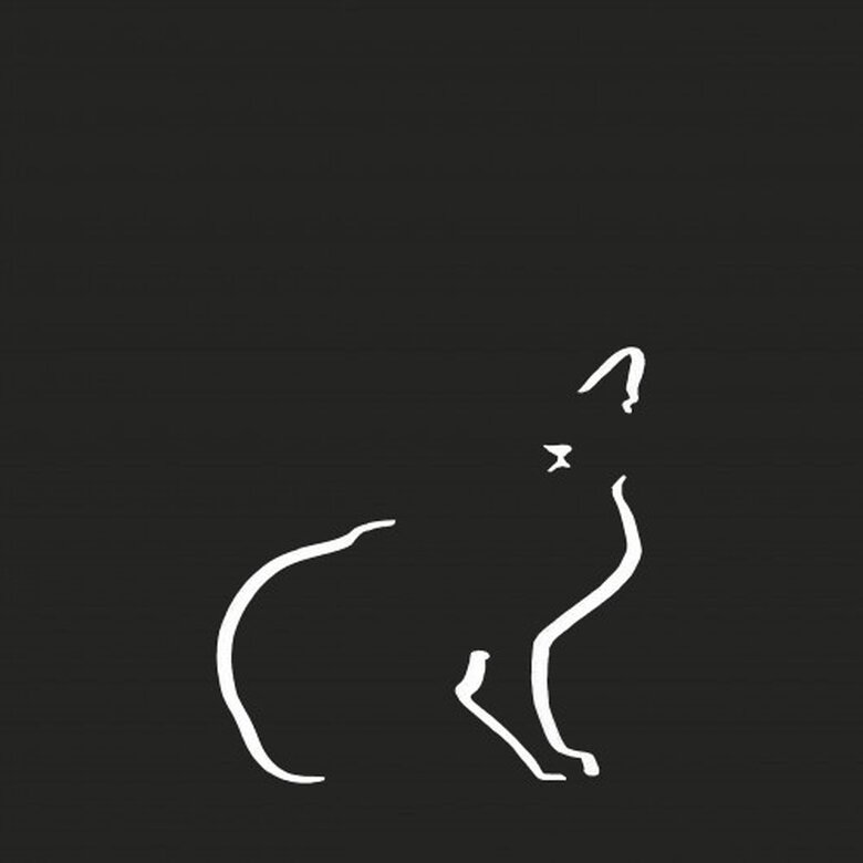 Ilustración de gato doméstico sin marco color Negro, , large image number null