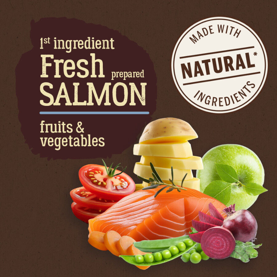 True Origins Pure Puppy Salmón pienso para cachorros thumbnail