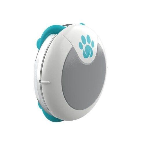 Petcare Rastreador de Actividad y Comportamiento para perros, , large Imagen numero 1