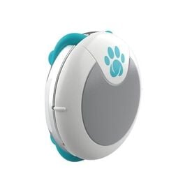Petcare Rastreador de Actividad y Comportamiento para perros