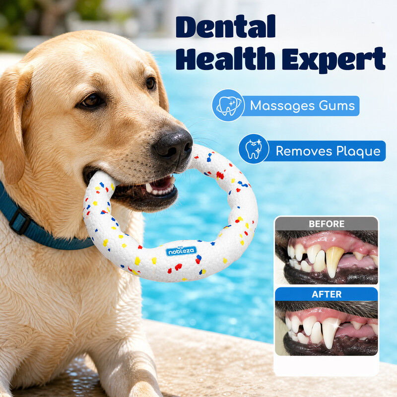 Nobleza Frisbee para Perros Pack de 2 &ndash; Disco Volador Interactivo de Goma E-TPU Indestructible y Ultraligero, Juguete Flotante y Limpiadientes para Adiestramiento en Playa y Parque &Oslash; 23 cm, , large Imagen numero 5
