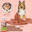 Nobleza Champ&uacute; para perros 250 ml - Champ&uacute; antiparasitario para perros y gatos Champ&uacute; nutritivo para perros para pieles sensibles y pelaje brillante, pH neutro, hidratante e hidratante, , large indicador imagen numero 4