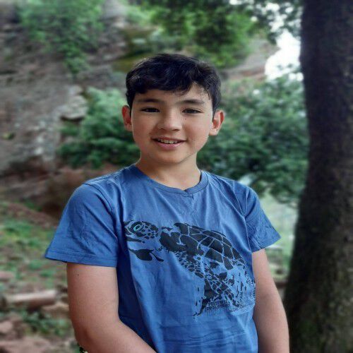 Camiseta Animal Totem niño/a tortuga azul thumbnail