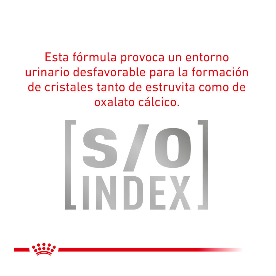 Royal Canin Adult Veterinary Urinary mousse sobre para gatos thumbnail