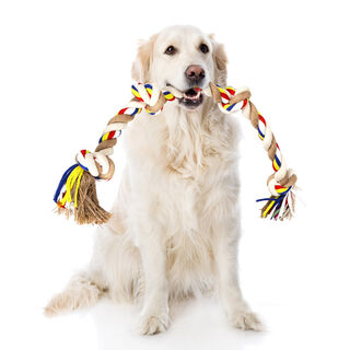 Nobleza Cuerda de juguete para perros
