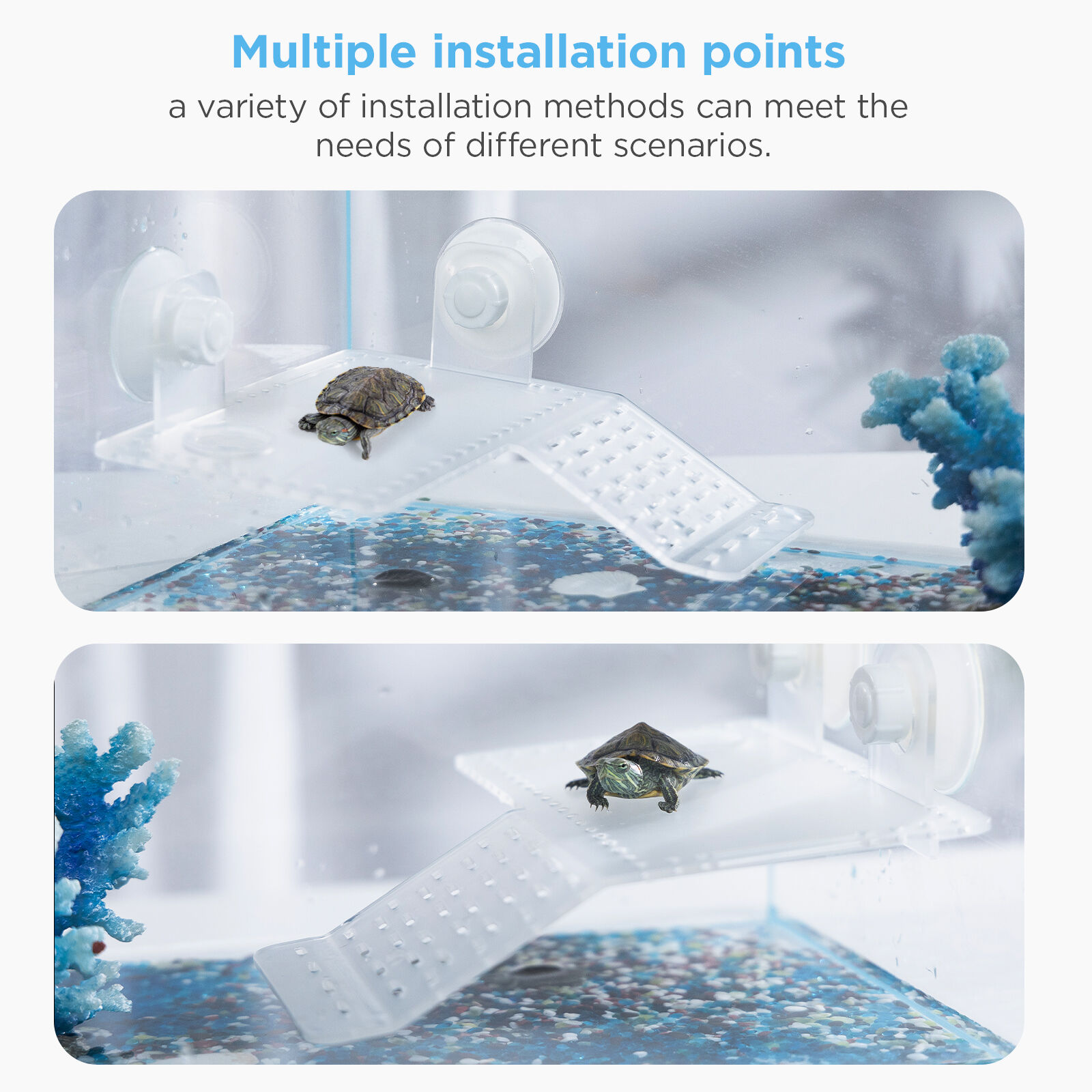 Nobleza - Plataforma Tortugas, Pl&aacute;stico Transparente Tortugas Basking Plataforma con Ventosas, para Tortuga o Reptil, L20*W12CM, , large Imagen numero 3