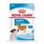85 g Royal Canin Mini Puppy sobre en salsa, , large indicador imagen numero 1