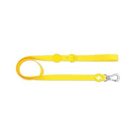 Dashi correa de TPU amarillo para perros