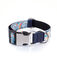 Collar Pamppy Funny Cómic Acme para perros color Multicolor, , large indicador imagen numero 1