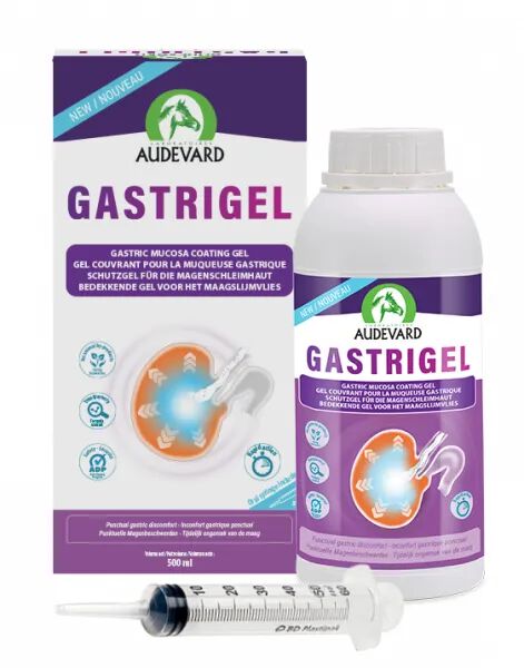 GASTRIGEL 500 ML, , large Imagen numero 1