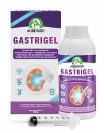 GASTRIGEL 500 ML