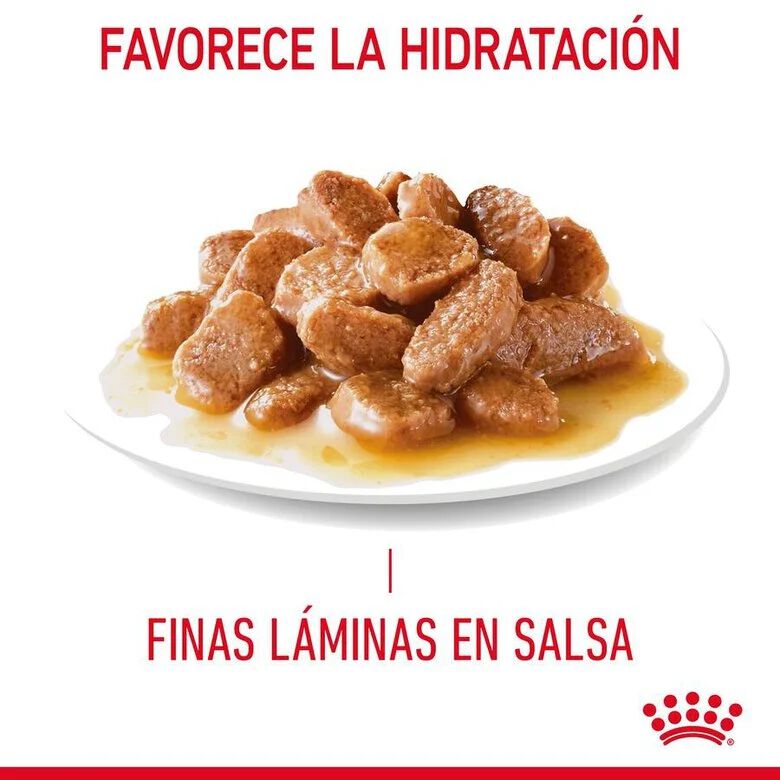 Royal Canin Hairball sobre en salsa para gatos thumbnail