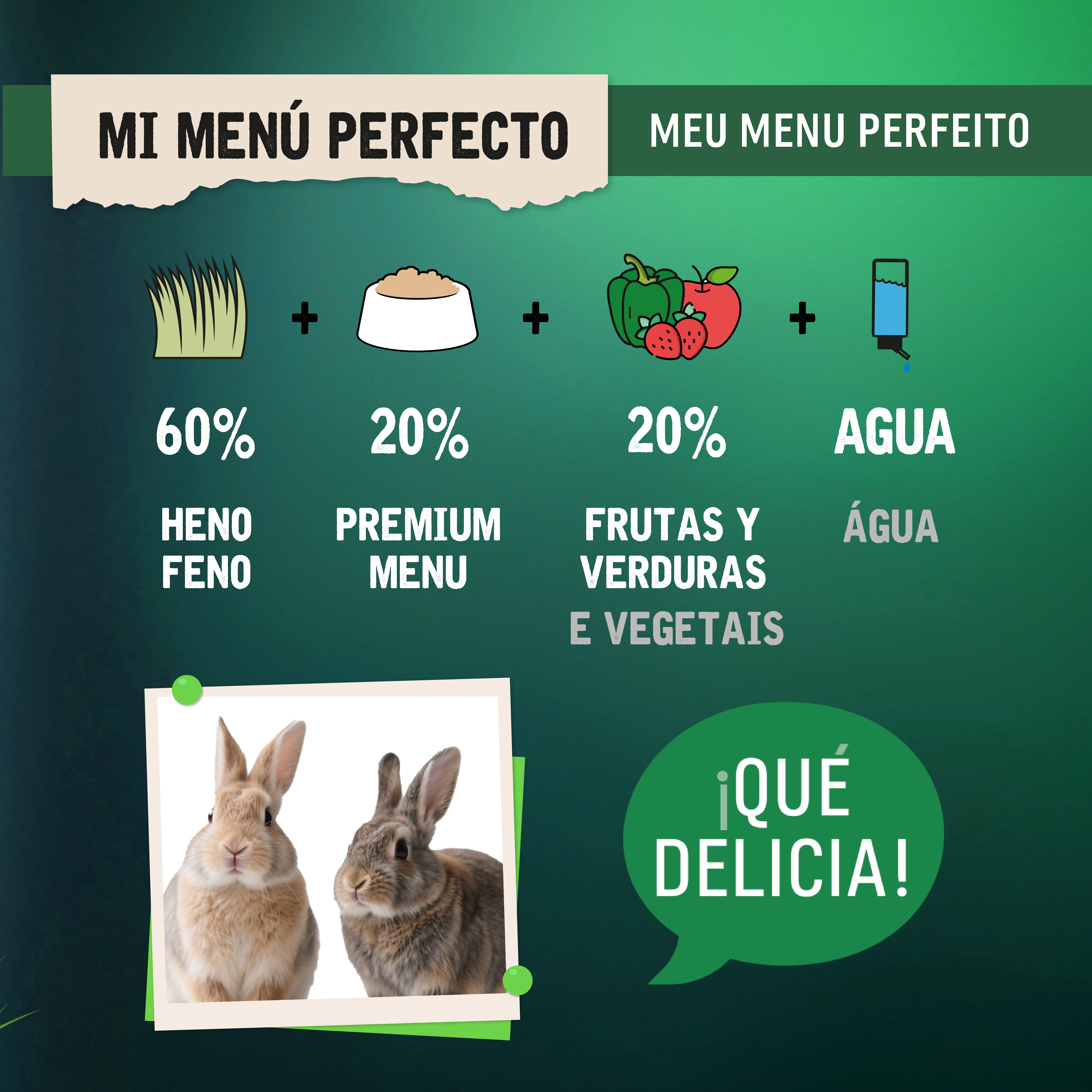 0.8 kg Small Life Premium Men&uacute; Pienso para conejos adultos, , large Imagen numero 5