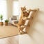 Althea Living - Escaleras de Escalada para Gatos Salitre, , large indicador imagen numero 5