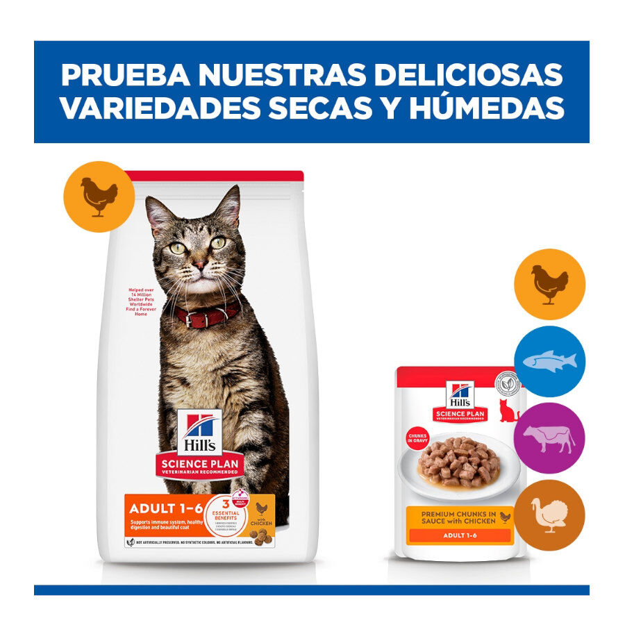 85 g Hill's Science Plan Adult Pollo sobre para gatos, , large Imagen numero 10