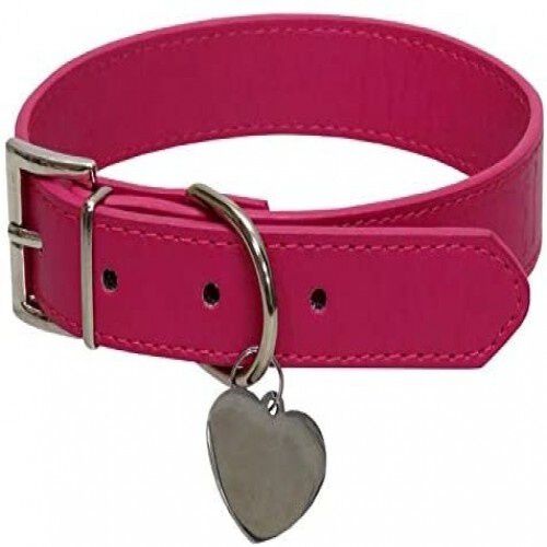 Collar con chapa identificativa Gidget color Rosa, , large Imagen numero 1