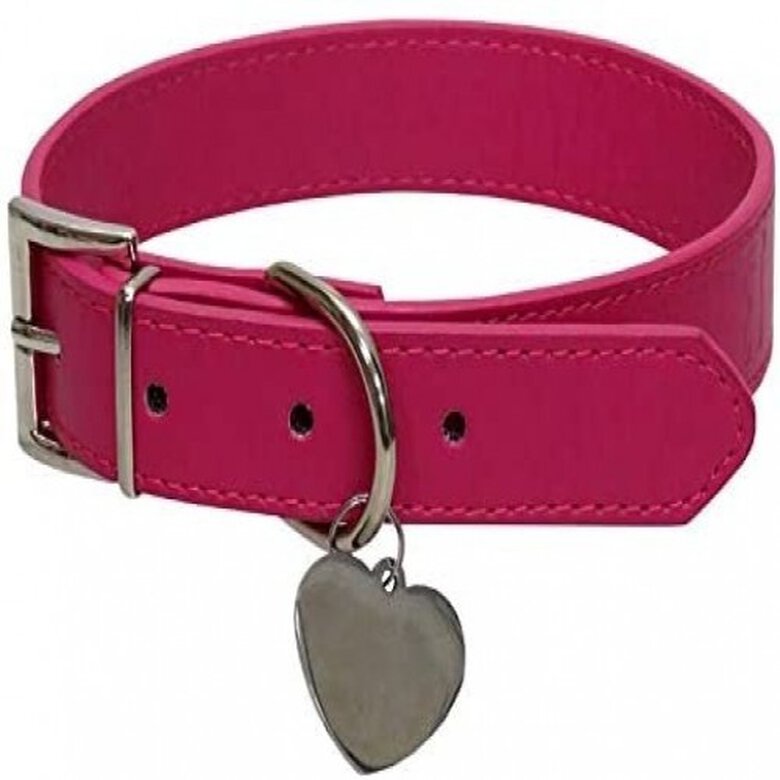 Collar con chapa identificativa Gidget color Rosa, , large image number null